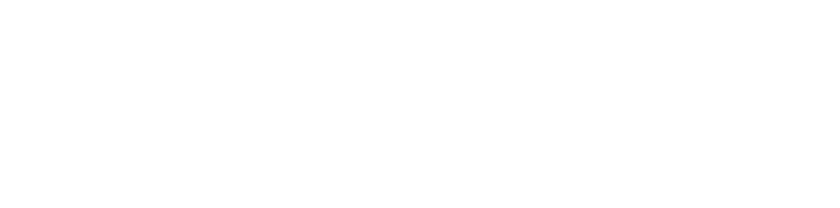 Royal Orchid Holidays
